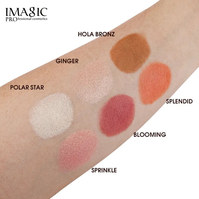 IMAGIC 6 COLOR COMPREHENSIVE FACE PALETTE (FA-144)