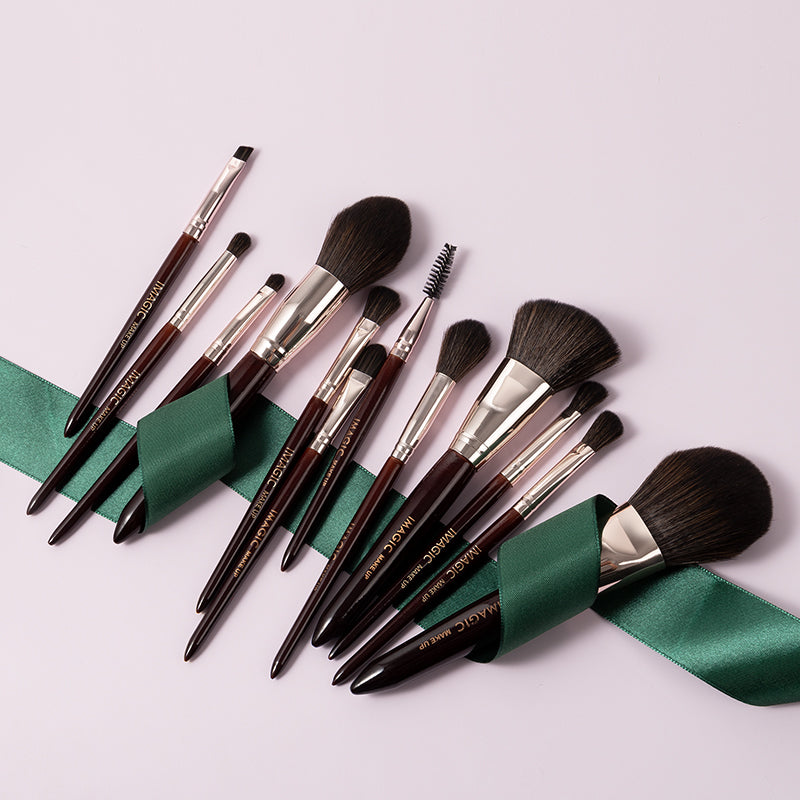 IMAGIC 12 PCS BRUSH SET WITH ZIPPER BAG